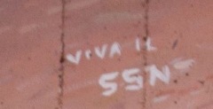 7-Viva-il-SSN