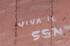 7-Viva-il-SSN